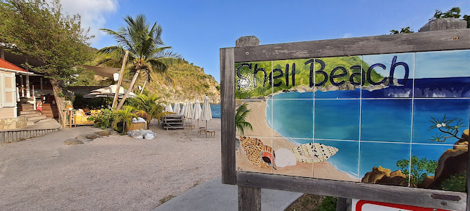 , Shellona – St Barth