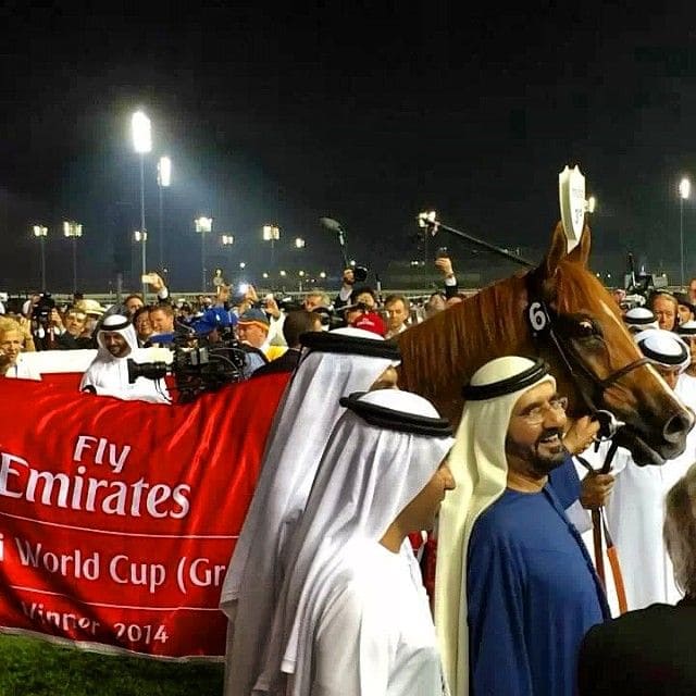 Dubai World Cup 2026,Dubai World Cup, Dubai World Cup 2026 Elite Access and VIP Packages at Meydan Racecourse