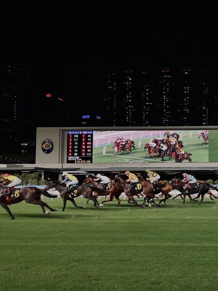 Dubai World Cup 2026,Dubai World Cup, Dubai World Cup 2026 Elite Access and VIP Packages at Meydan Racecourse