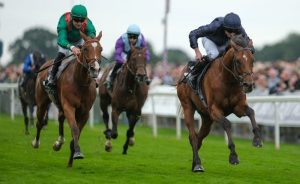 dubai duty free tennis championships,dubai duty tennis, Dubai World Cup 2026 Elite Access and VIP Packages at Meydan Racecourse